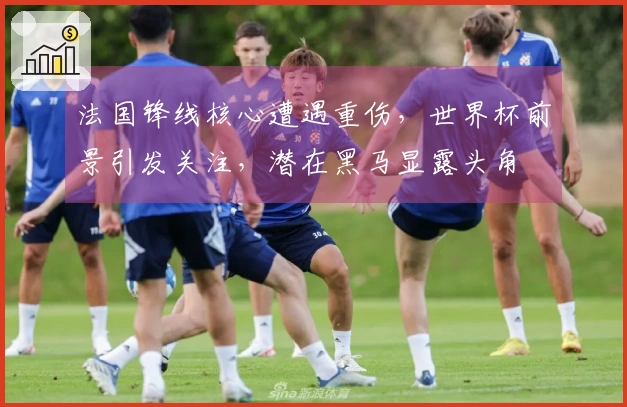 法国锋线核心遭遇重伤，世界杯前景引发关注，潜在黑马显露头角